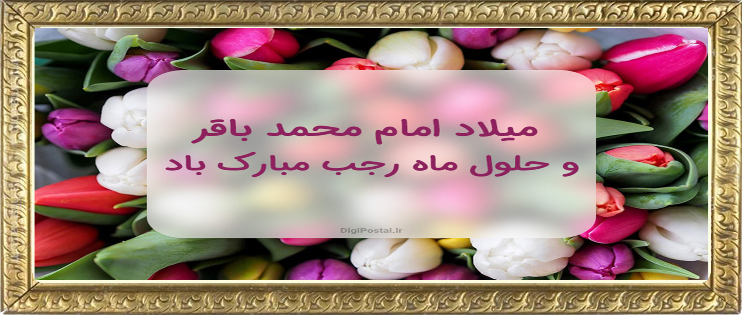 میلاد امام باقر ع